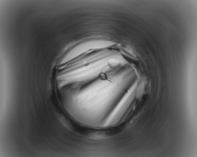 X0000086290252200704201928
