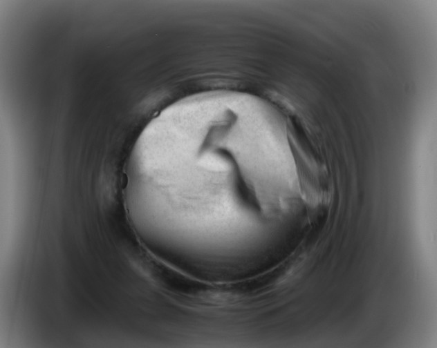 X0000086290255200704201928