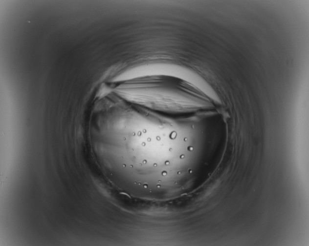 X0000086290256200704201928