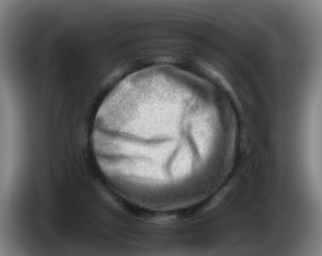 X0000086290257200704201928
