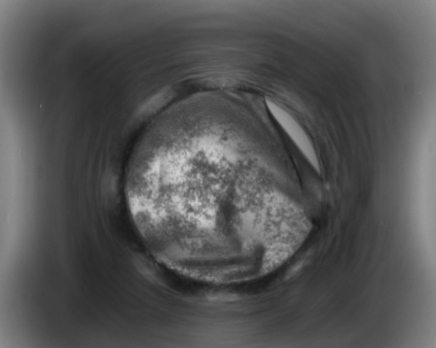 X0000086290258200704201928