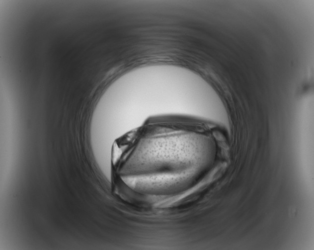 X0000086290260200704201928