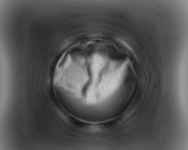X0000086290261200704201929