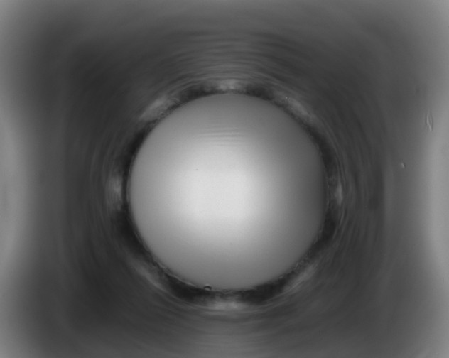 X0000086290262200704201929