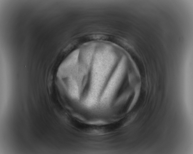 X0000086290263200704201929