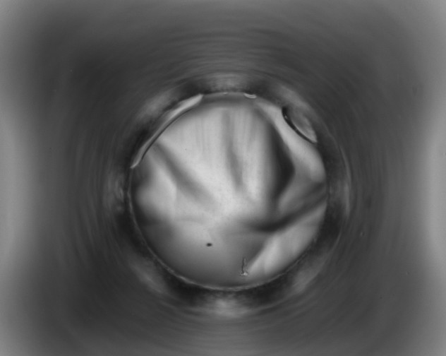 X0000086290264200704201929