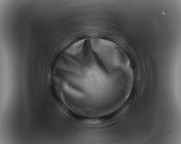 X0000086290266200704201929