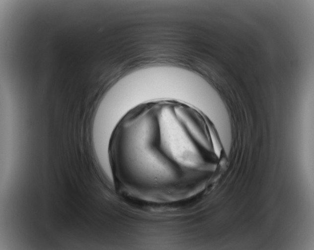 X0000086290268200704201929
