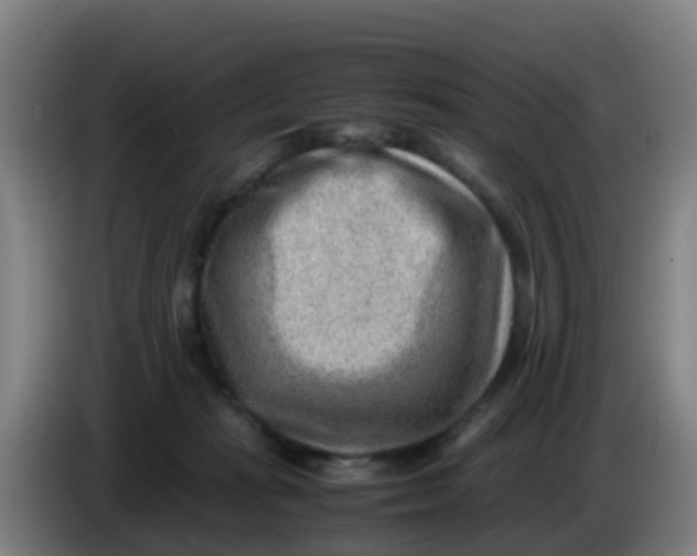 X0000086290269200704201929