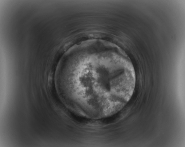 X0000086290271200704201929