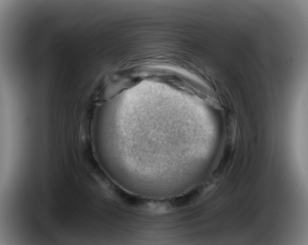 X0000086290272200704201929
