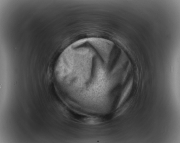 X0000086290273200704201929