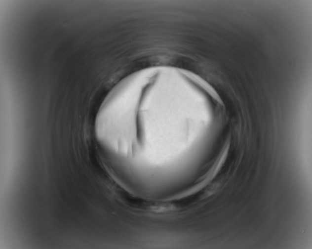 X0000086290274200704201929