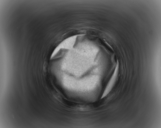 X0000086290275200704201929