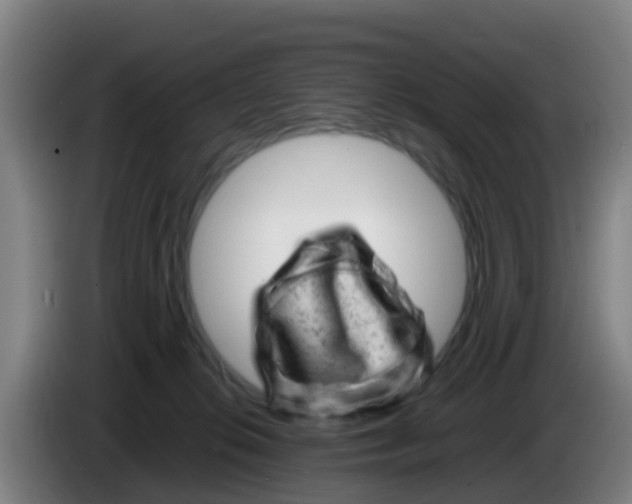 X0000086290276200704201929