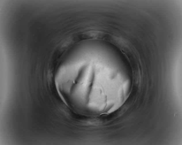X0000086290279200704201929