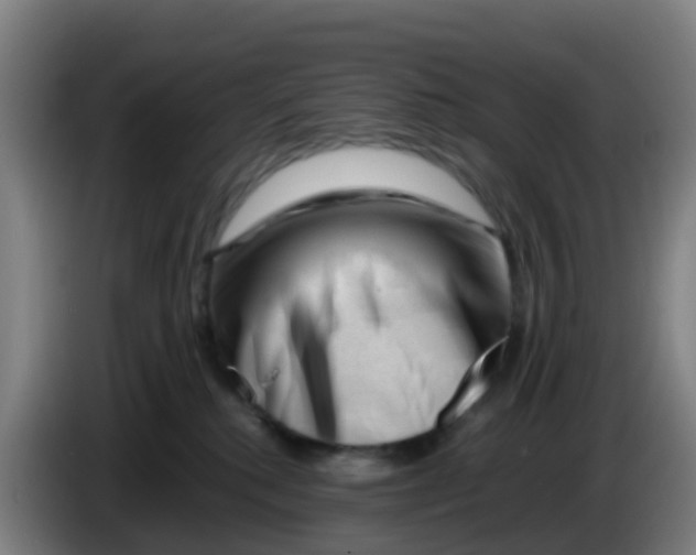 X0000086290280200704201929