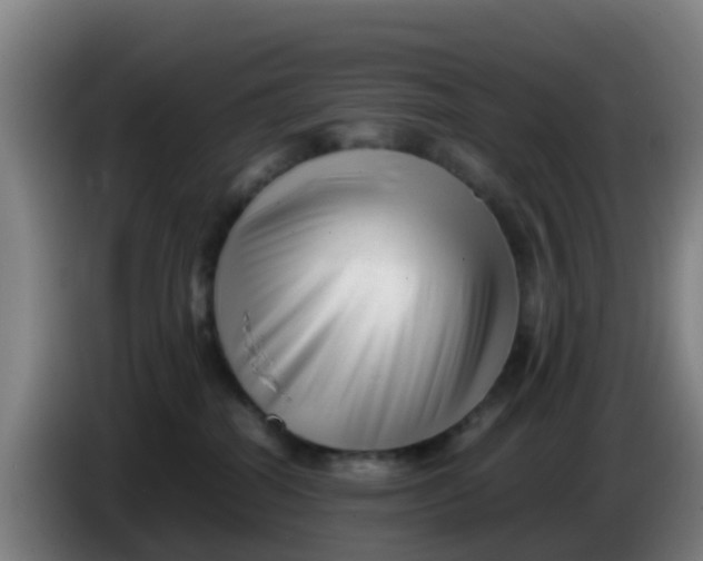 X0000086290282200704201929