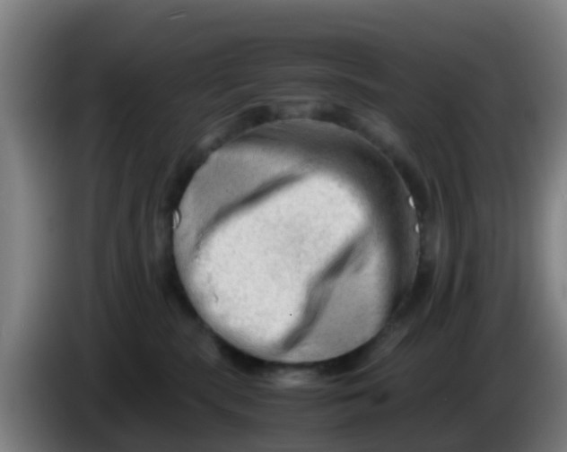 X0000086290283200704201929