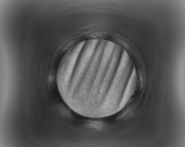 X0000086290284200704201929