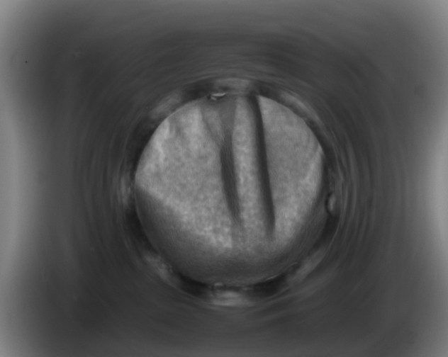X0000086290285200704201929