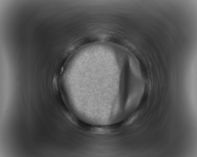 X0000086290286200704201929