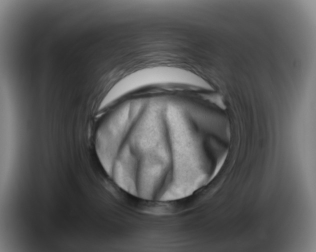 X0000086290288200704201929