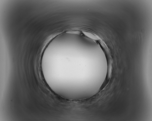 X0000086290289200704201928