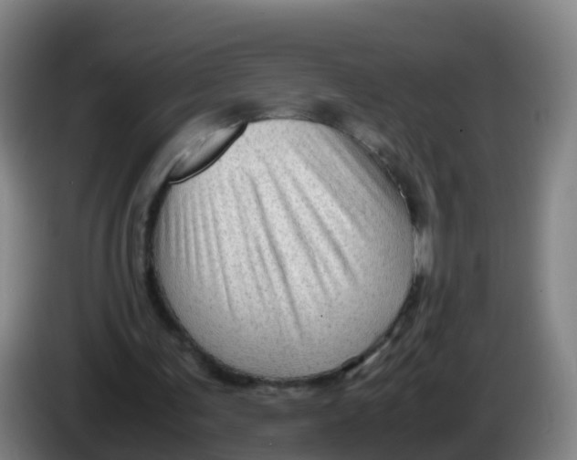 X0000086290291200704201928