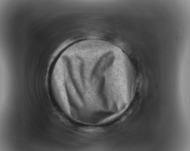 X0000086290292200704201928