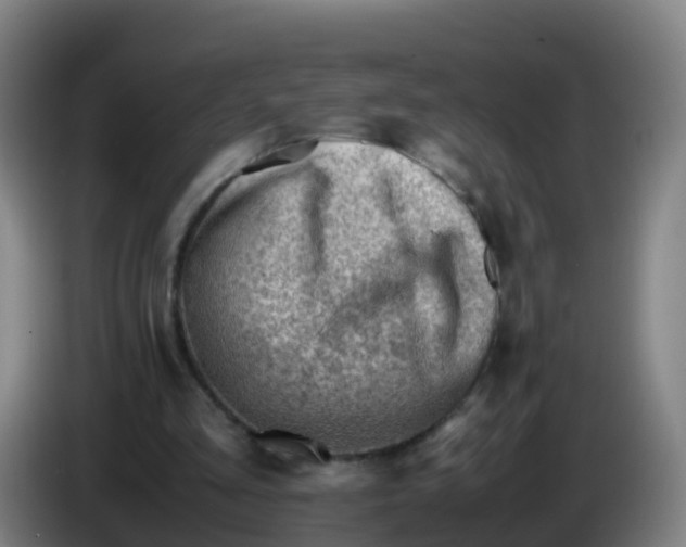 X0000086290293200704201928