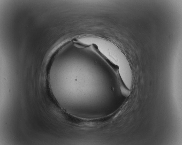 X0000086290295200704201928