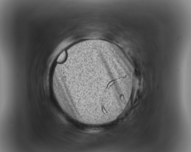 X0000086290296200704201928