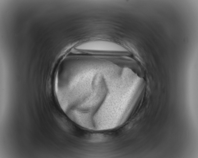 X0000086290298200704201928