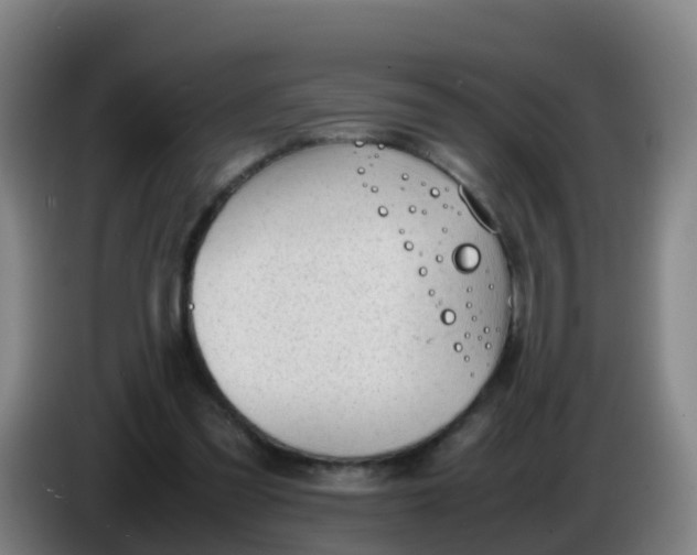 X0000086290301200704201928