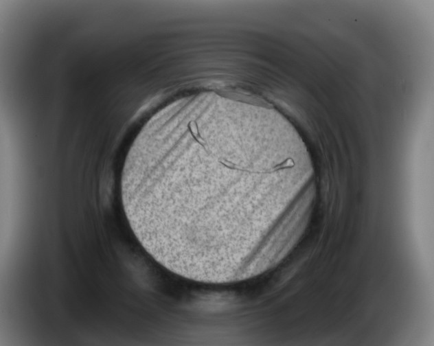 X0000086290304200704201928