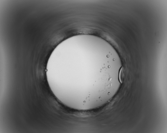 X0000086290305200704201928