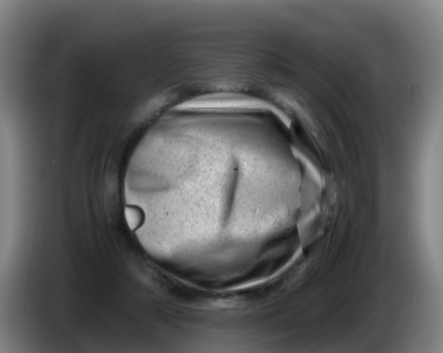 X0000086290306200704201928