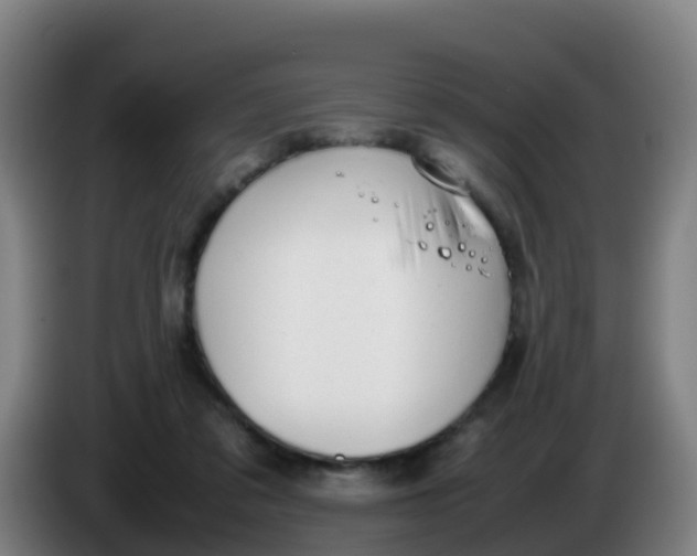 X0000086290309200704201928