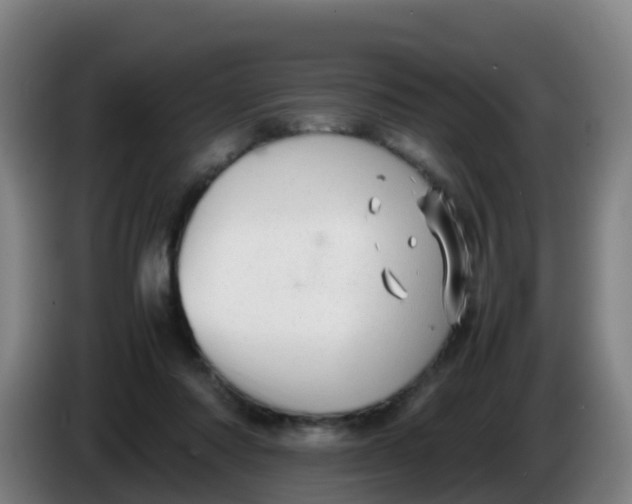 X0000086290310200704201928
