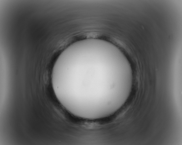 X0000086290311200704201928