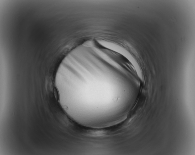 X0000086290313200704201928