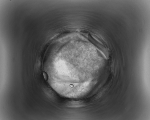 X0000086290314200704201928