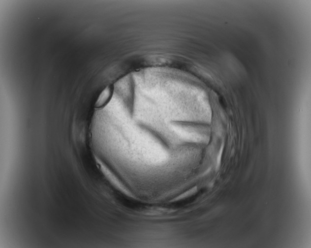 X0000086290315200704201928