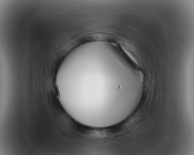 X0000086290317200704201928