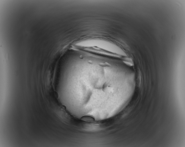 X0000086290318200704201928