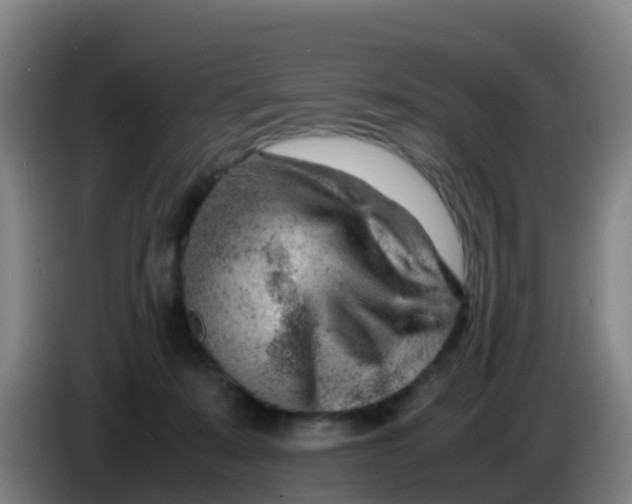 X0000086290319200704201928