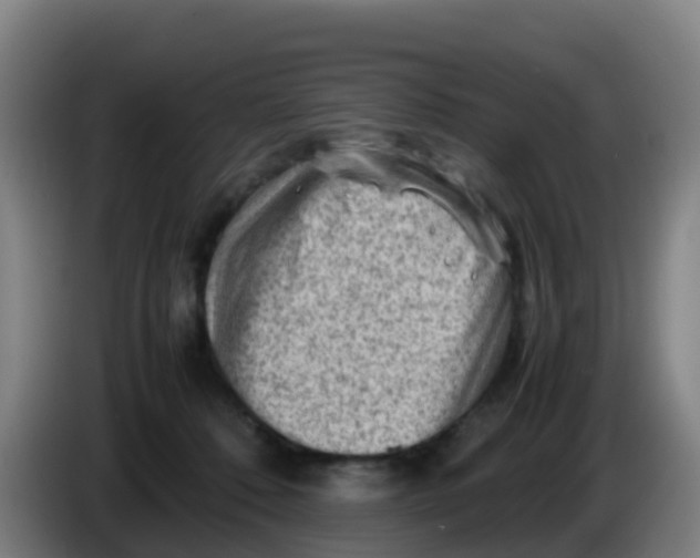 X0000086290320200704201928