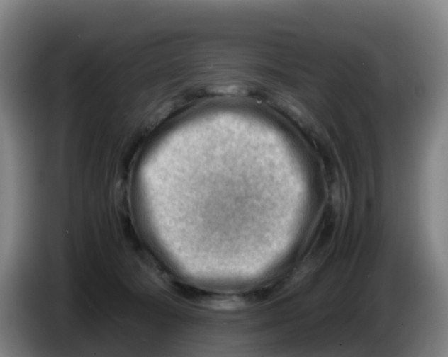 X0000086290322200704201928