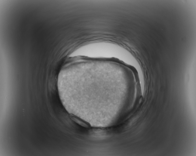 X0000086290325200704201928